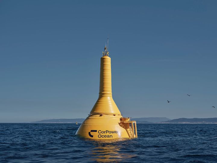 Ocean Wave Energy Converters: Knowledge for Clean Ocean Power Generation
