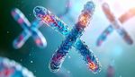 Antibody Development Insights in Therapeutic Innovation