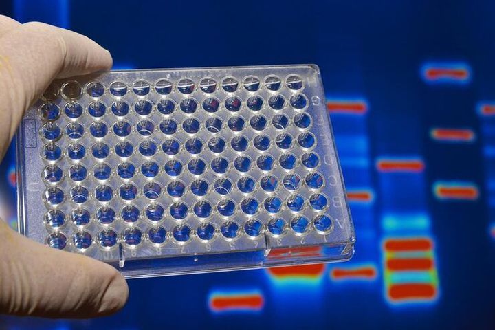 TNF Alpha ELISA Kit Explanation for Biomarker Detection